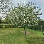 Maison Chaleureuse De Plain Pied Avec 3 Semesterbostad Caillouet-Orgeville
