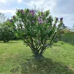 Maison Chaleureuse De Plain Pied Avec 3 * Caillouet-Orgeville