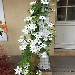 Maison Chaleureuse De Plain Pied Avec 3 *