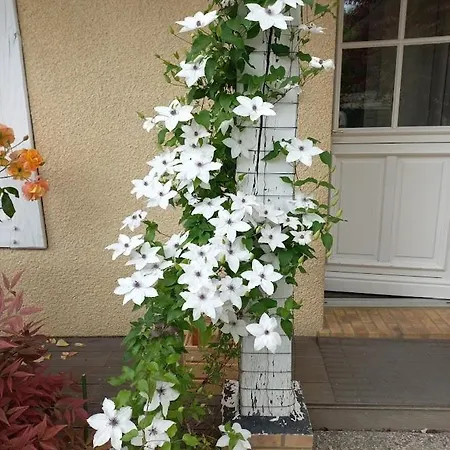 Maison Chaleureuse De Plain Pied Avec 3 *